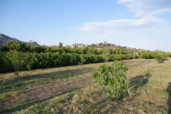 b&b villa valentina taormina uitzicht tuin castelmola